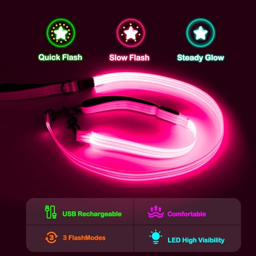 Dlitk Light Up Dog Leash, LED Leashes Rechargeable, Nylon Reflective Lead with Padded Handle for Night Walking, Safety Glow Lights for Large Medium Small Dogs(Pink,(4 Ft+2 Ft))