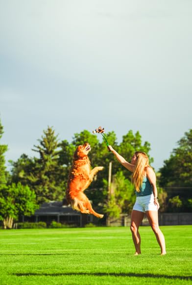 Flingerz Furry Rabbit on a Stick Dog Toy, Grey, Green and White