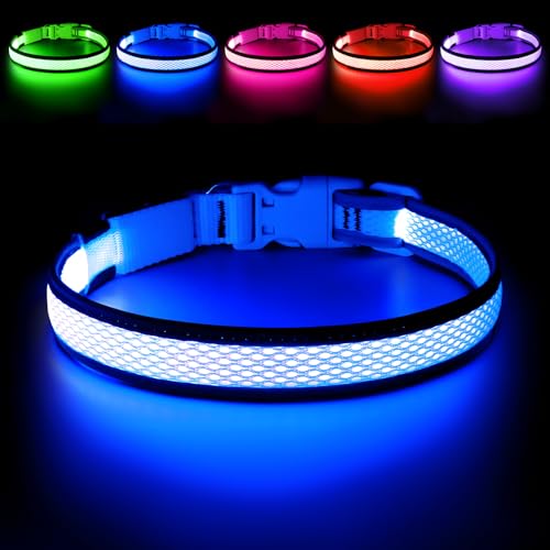 Flashseen LED Dog Collar, Light Up Dog Collar USB Rechargeable, Brightest Dog Lights for Night Walking, Adjustable Dog Collar Light for Dog Safety (Large, Royal Blue)