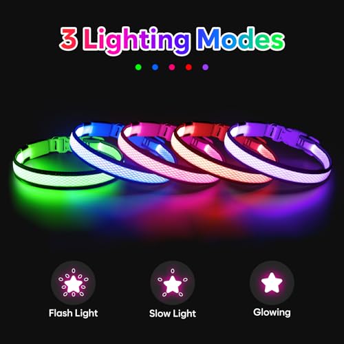 Flashseen LED Dog Collar, Light Up Dog Collar USB Rechargeable, Brightest Dog Lights for Night Walking, Adjustable Dog Collar Light for Dog Safety (Large, Royal Blue)