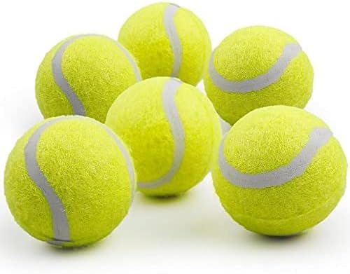 ALL FOR PAWS 2.5-inch Tennis Balls for Dogs, Fetch Toys for Medium Large Dogs, Bouncy & Durable Tennis Balls for Ball Launcher Toy, 6 Pack Fetch Toy for Outdoor Play