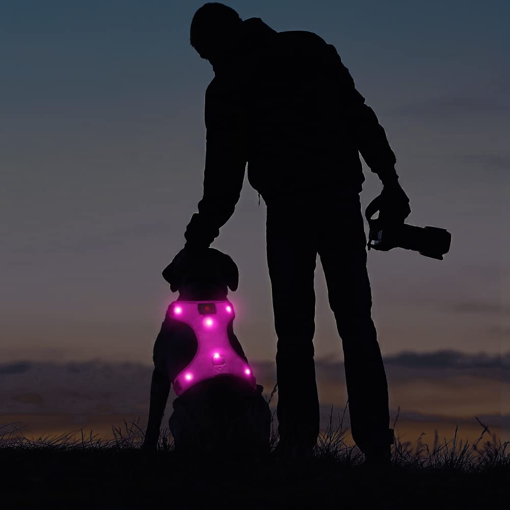BSEEN LED Dog Harness, No Pull Light Up Dog Vest Rechargeable Lighted Pet Harness Safety Dog Lights for Night Walking (Rose Red, Medium)