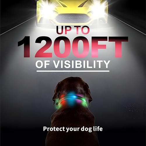 Myyaa Light up Dog Collars, LED Dog Collar Light, USB Rechargeable Bright Flashing Dog Collar with Waterproof, Lighted Safety Collar for Walking at Night for Small Medium, Large Dogs (Purple Pink)