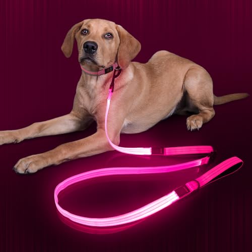 Dlitk Light Up Dog Leash, LED Leashes Rechargeable, Nylon Reflective Lead with Padded Handle for Night Walking, Safety Glow Lights for Large Medium Small Dogs(Pink,(4 Ft+2 Ft))
