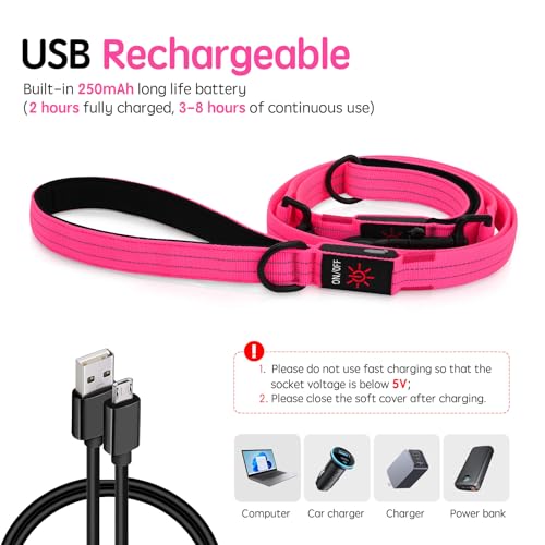 Dlitk Light Up Dog Leash, LED Leashes Rechargeable, Nylon Reflective Lead with Padded Handle for Night Walking, Safety Glow Lights for Large Medium Small Dogs(Pink,(4 Ft+2 Ft))