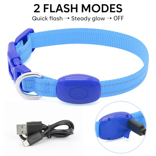 Domagiker LED Dog Collar Rechargeable - Reflective Light Up Cat Collar Adjustable Glowing Puppy Necklace Safety Dog Lights for Night Walking (XS, Blue)