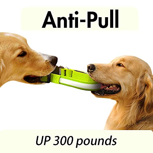 YFbrite Ultra Light Adjustable LED Dog Collar, Light up Dog Collars Rechargeable Glowing in The Dark Collars Visiblity & Safety for Small, Medium, Large Dogs (Green, Medium)