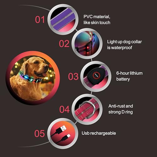 Myyaa Light up Dog Collars, LED Dog Collar Light, USB Rechargeable Bright Flashing Dog Collar with Waterproof, Lighted Safety Collar for Walking at Night for Small Medium, Large Dogs (Purple Pink)