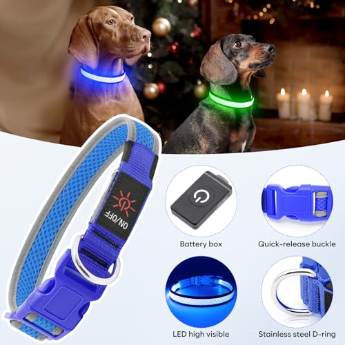 Flashseen LED Dog Collar, Light Up Dog Collar USB Rechargeable, Brightest Dog Lights for Night Walking, Adjustable Dog Collar Light for Dog Safety (Large, Royal Blue)