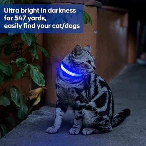 Domagiker LED Dog Collar Rechargeable - Reflective Light Up Cat Collar Adjustable Glowing Puppy Necklace Safety Dog Lights for Night Walking (XS, Blue)