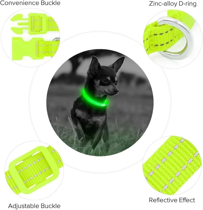 BSEEN Light Up Dog Collars - Glowing LED Dog Collar Rechargeable Puppy Collar for Small Dogs & Cats, Safety Dog Lights for Night Walking (Green)