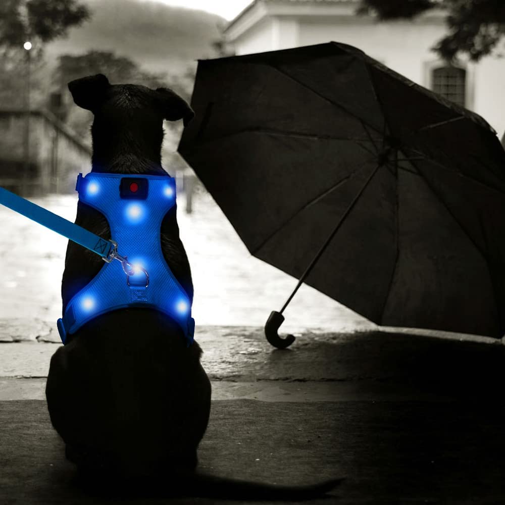 Flashseen LED Dog Harness, Lighted Up USB Rechargeable Pet Harness, Illuminated Reflective Glowing Dog Vest Adjustable Soft Padded No-Pull Suit for Small, Medium, Large Dogs (Blue, L)