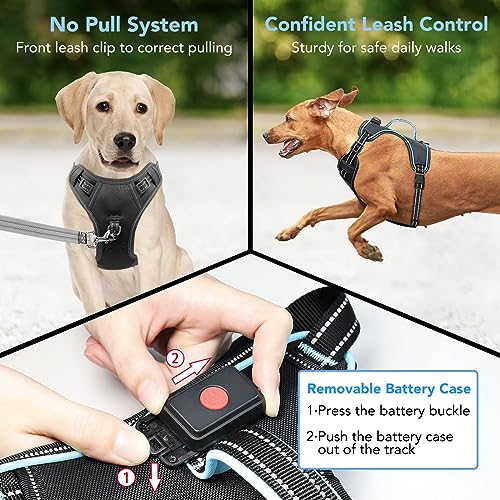 Vizbrite Light Up Dog Harness, No Pull LED Dog Harness with Handle, Rechargeable Lighted Safety Vest for Small Medium Large Dogs, Adjustable Soft Dog Lights for Night Walking