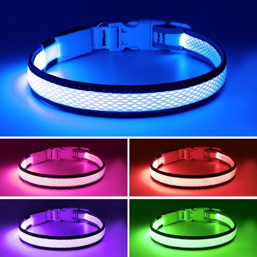 Flashseen LED Dog Collar, Light Up Dog Collar USB Rechargeable, Brightest Dog Lights for Night Walking, Adjustable Dog Collar Light for Dog Safety (Large, Royal Blue)