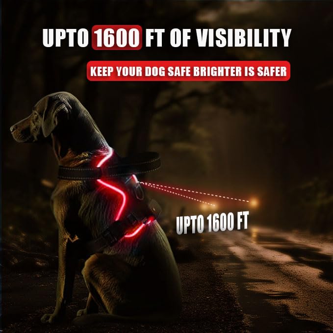 Generic RED (LED) Light D Dog Harness | Dog Harness Medium Sized Dog | Light Up Dog Harness | Soft Handle | Rechargeable, Lighted Dog Collars for Night | Glow in The Dark Dog Collar | RED - Medium