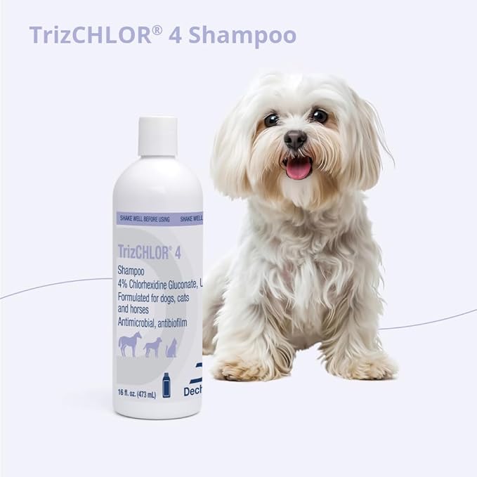 4 Shampoo for Dogs, Cats and Horses, 16 Ounce
