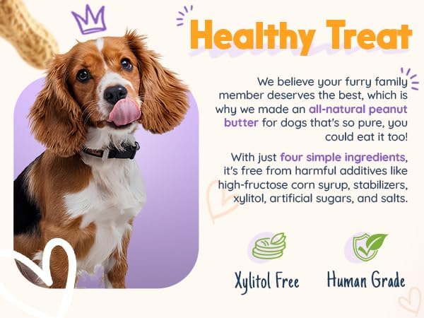 BUDDY BUDDER Bark Bistro Dog Lick Mat Set with Superberry Peanut Butter, Purple Enrichment Mat with Spatula, 4 oz Squeeze Pack