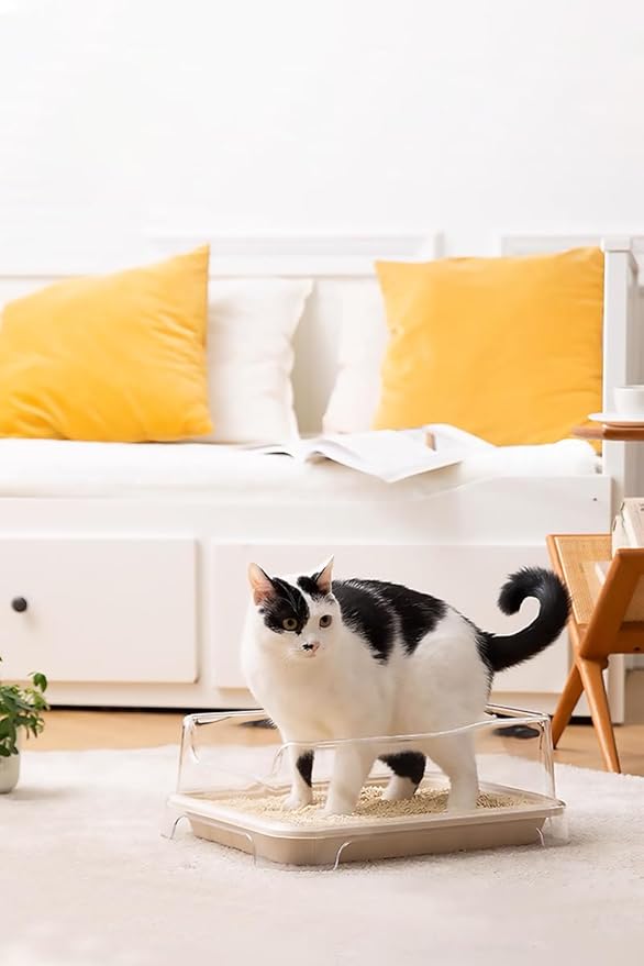 1 Transparent Cat Litter Splash Shield Plus (5-Pack) Disposable Litter Boxes. Small, Quick and Easy Disposal. Shallow for Small Pets, Senior Cats, Kittens