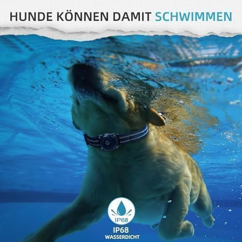 GPS Tracker for Dogs (2 Pack), Mini GPS Cat Tracker, Smart Pet Activity Tracker (iOS Only), No Monthly Fee, Compatible with Apple Find My, Anti-Lost, Finder Tag for Vehicles/Pets/Kids/Items