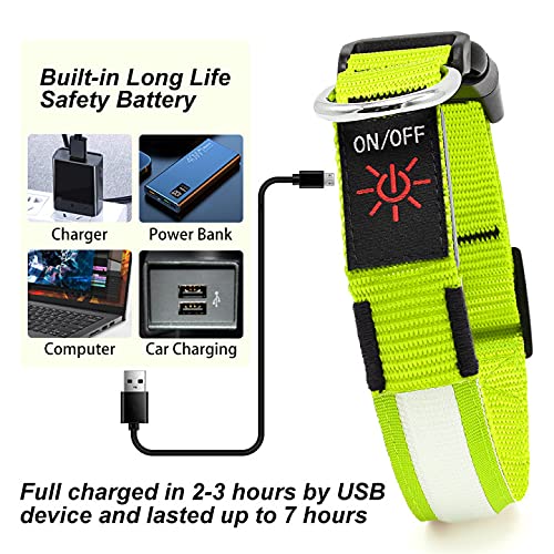 YFbrite Ultra Light Adjustable LED Dog Collar, Light up Dog Collars Rechargeable Glowing in The Dark Collars Visiblity & Safety for Small, Medium, Large Dogs (Green, Small)