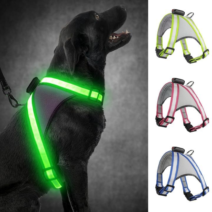 Visinite LED Dog Harness, USB Rechargeable Light Up Dog Vest, 2 Illuminate Modes Glow in The Dark Dog Harness, Adjustable Lighted Pet Harness Light for Night Walking Safety (Green, L)