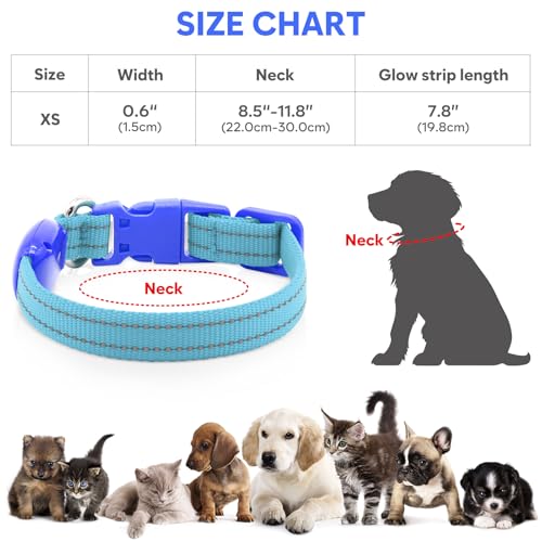 Domagiker LED Dog Collar Rechargeable - Reflective Light Up Cat Collar Adjustable Glowing Puppy Necklace Safety Dog Lights for Night Walking (XS, Blue)