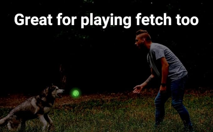 Glow in The Dark Tennis Balls for Dogs, Small-Medium Size, 3 Pack (Glow in The Dark)