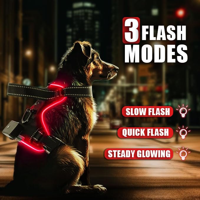 Generic RED (LED) Light D Dog Harness | Dog Harness Medium Sized Dog | Light Up Dog Harness | Soft Handle | Rechargeable, Lighted Dog Collars for Night | Glow in The Dark Dog Collar | RED - Medium