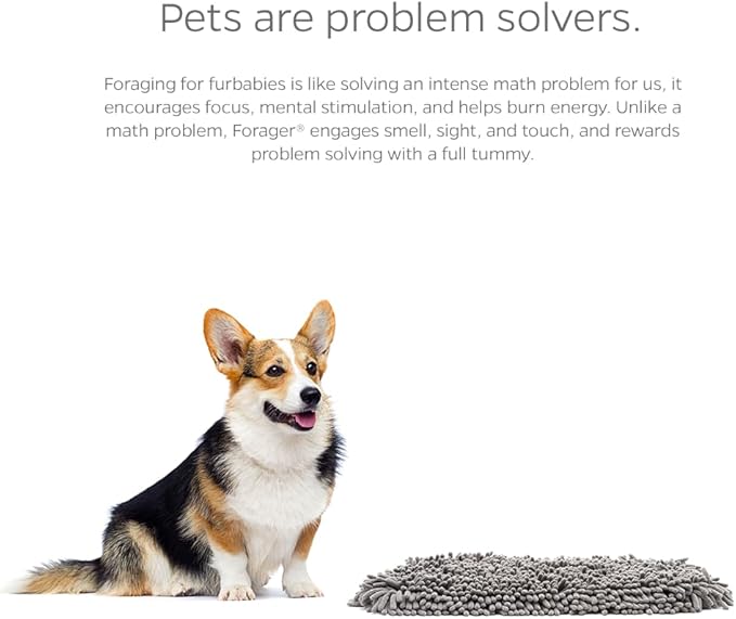 Pet Parents Forager Slow Feeder Dog Bowl & Snuffle Mat - SoftSnout, Non-Slip Backing (Forest 12")