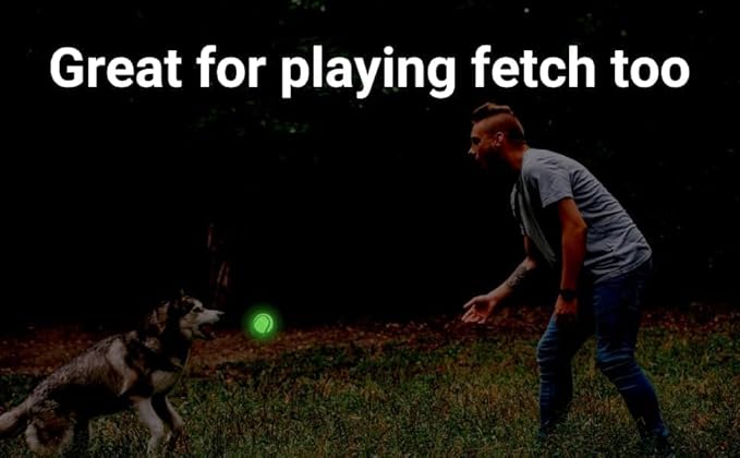 Glow in The Dark Tennis Balls for Dogs, Small-Medium Size, 3 Pack (Glow in The Dark)