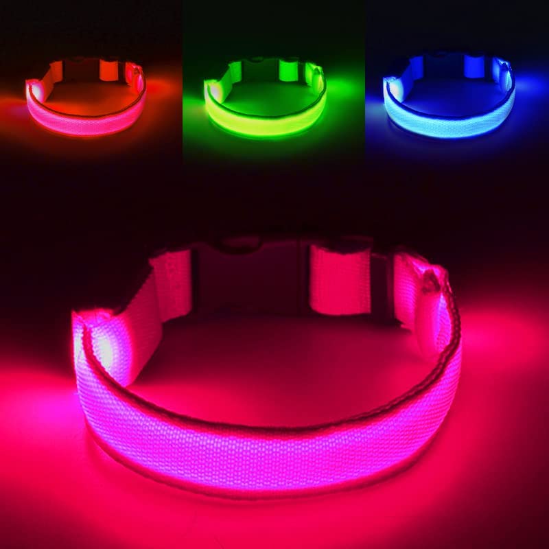Omni Soulmate LED Dog Collar - Light Up Collars for Night, Personalized, Small & Large Dogs