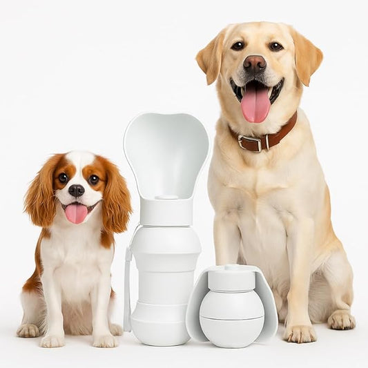 BMN Portable Dog Water Bottle, Collapsible Pet Water Bottle,Large Capacity for Big Dogs, Leak-Proof Travel Dispenser, Foldable Bowl for Hiking Walking Outdoors,19oz