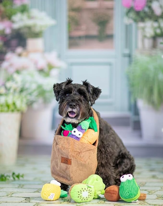 Nocciola Small Squeaky Crinkle Dog Toys- 15 Packs Grocery Basket Fruits Veggies Puppy Toys to Keep Busy, Cute Durable Plush Stuffed Hide Seek Cognitive Boredom Pet Supplies, Dog Birthday Gifts