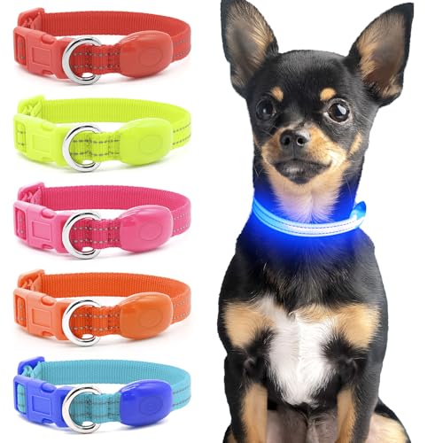 Domagiker LED Dog Collar Rechargeable - Reflective Light Up Cat Collar Adjustable Glowing Puppy Necklace Safety Dog Lights for Night Walking (XS, Blue)