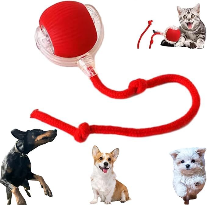 2025 New Electric Dog Ball Toy,Electric Ball Dog Toy for Cat,360° Smart Automatic Interactive Rolling Dog Ball, Smart Interactive Pet Toy Ball,Automatic Dog Toy,Interactive Dog Toys,Gift for kids