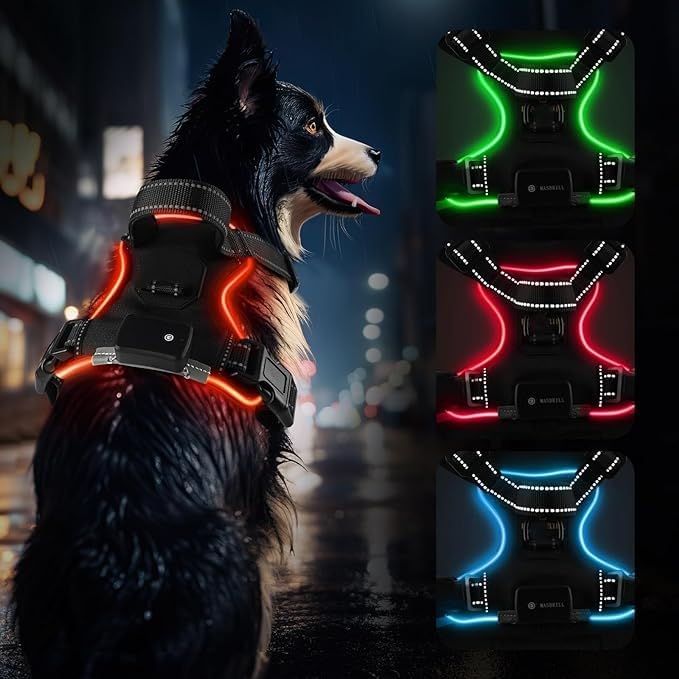 Generic RED (LED) Light D Dog Harness | Dog Harness Medium Sized Dog | Light Up Dog Harness | Soft Handle | Rechargeable, Lighted Dog Collars for Night | Glow in The Dark Dog Collar | RED - Medium