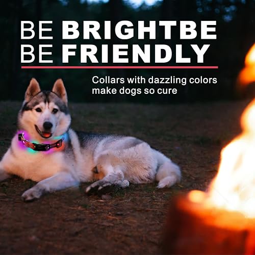 Myyaa Light up Dog Collars, LED Dog Collar Light, USB Rechargeable Bright Flashing Dog Collar with Waterproof, Lighted Safety Collar for Walking at Night for Small Medium, Large Dogs (Purple Pink)