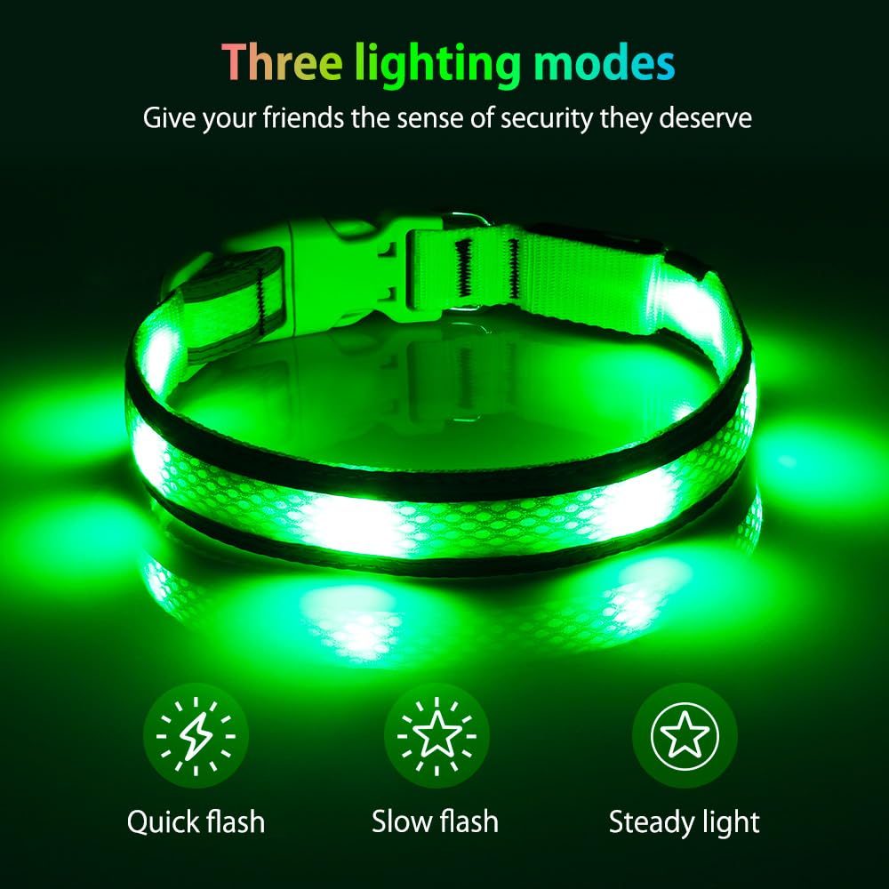 Illumifun Light Up Dog Collar - USB Rechargeable Dog Light Glow in The Dark - High Visibility LED Dog Collar for Night Walking (Medium, Fluorescent Green)
