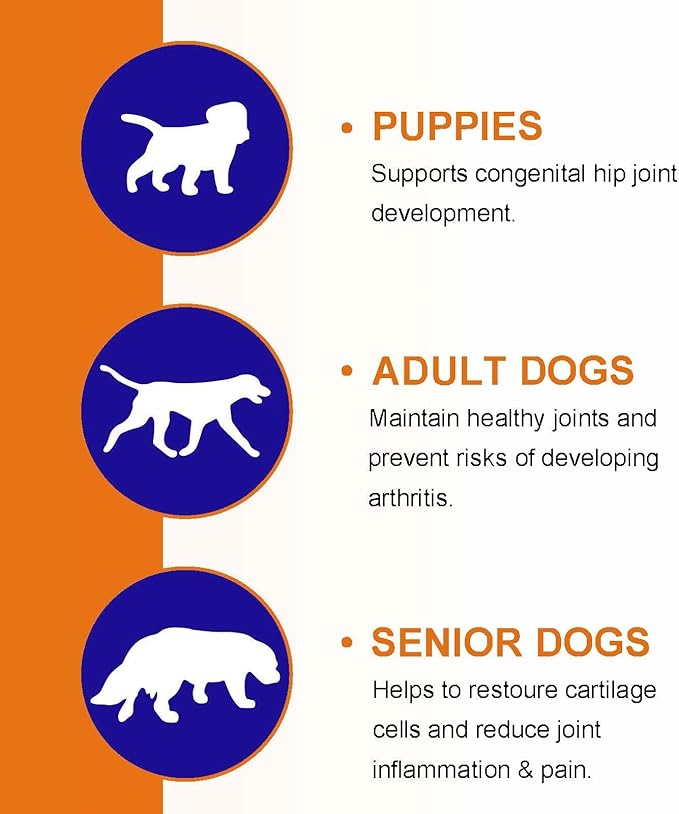 Glucosamine for Dogs - Hip & Joint Supplement (150 Tablets, 13.2 oz) - Chews with Chondroitin, MSM & Hemp Oil for Arthritis Relief & Enhanced Mobility for All Breeds