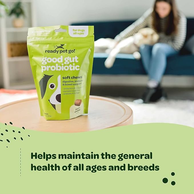 Probiotic Chews for Dogs Gut Health | Tasty Pre and Probiotics for Dogs Digestive Health with Pumpkin Dog Probiotics and Digestive Enzymes | NASC Certified & Made in The USA | 90 Chews