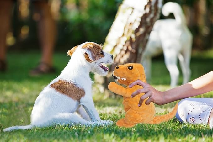 LWBMG Squeaky Dog Toys Stuffed Dog Toys Cute Dinosaur Plush Dog Toy with Crinkle Paper Durable Dog Chew Toys for Small Medium and Large Dogs