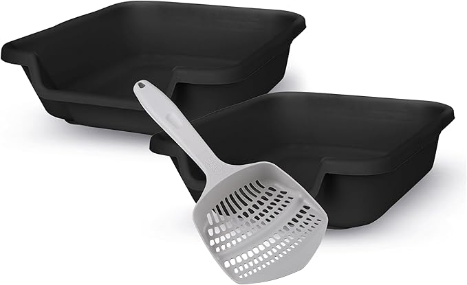 KittyGoHere Senior Cat Litter Box 2 Pack, Small Black Low Entrance Kitty Litter Box, Sized for Cats Comfort, Perfect for Senior and Arthritic Cats, Made in USA – Includes Long-Handle Jumbo Scoop