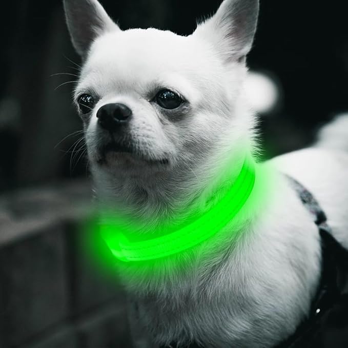 BSEEN Light Up Dog Collars - Glowing LED Dog Collar Rechargeable Puppy Collar for Small Dogs & Cats, Safety Dog Lights for Night Walking (Green)