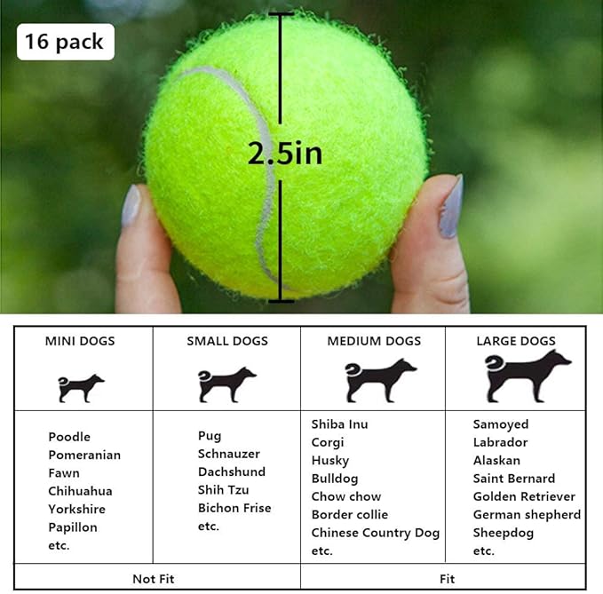 BESTHLS Dog Ball 2.5 inch Tennis Dog Treat Ball for Small Medium Pet Peppy Playing Fetching Chewing Exercise & Training Indoor Outdoor (16 Pack)