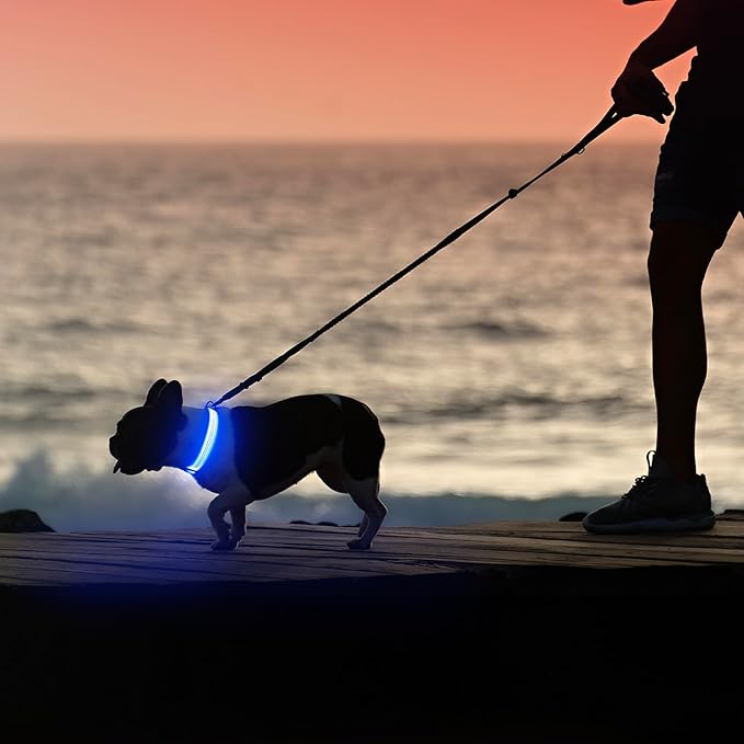 Illumifun LED Dog Collar, Reflective Light Up Collars for Small Dog, USB Rechargeable Pet Collar Light for Dogs Walking Camping (Blueā
¢, Small)