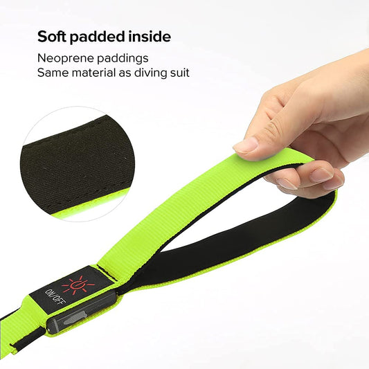 Colaseeme Light Up Dog Leash, 4FT LED Pet Leashes Micro USB Rechargeable, Nylon Glow Safety Dogs Lights at Night (Green)