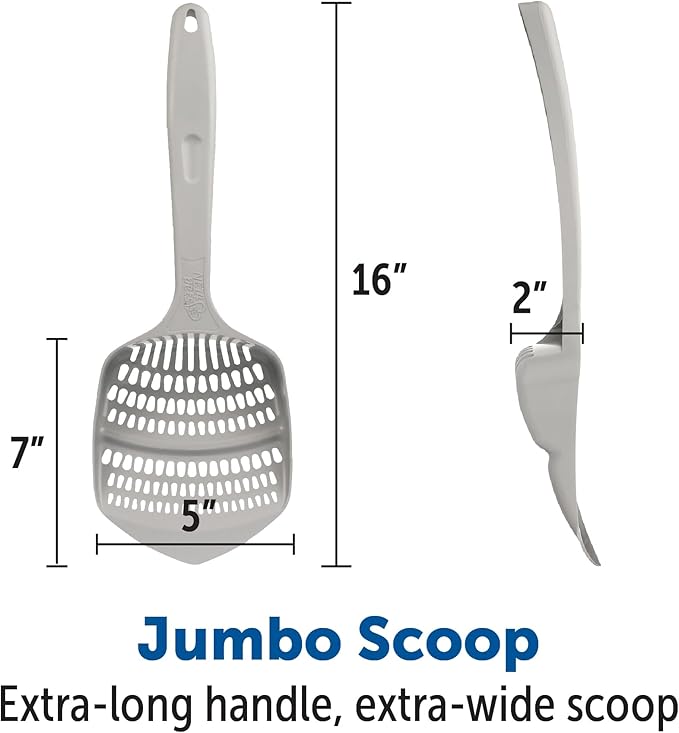 KittyGoHere Senior Cat Litter Box 1 Pack, Small Green Low Entrance Kitty Litter Box, Sized for Cats Comfort, Perfect for Senior and Arthritic Cats, Made in USA – Includes Long-Handle Jumbo Scoop
