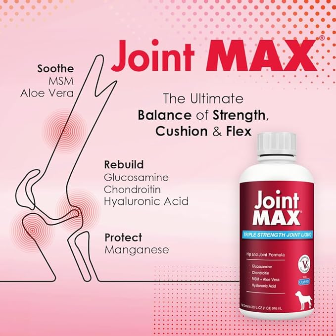 Liquid for Dogs - Vitamins, Minerals, Antioxidants - Glucosamine, Chondroitin - Beef Flavor - Maximum Joint Health Supplement for Dogs - 32 fl oz