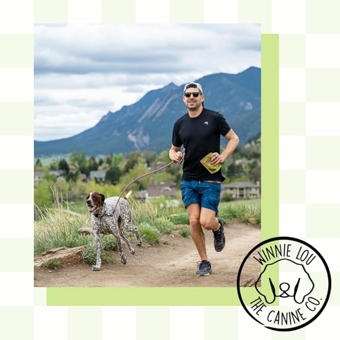 Freeze Dried Bison Liver Tidbits - Single Ingredient, Human-Grade, No Artificial Flavors or Fillers, Perfect for Training (Pack of 1)