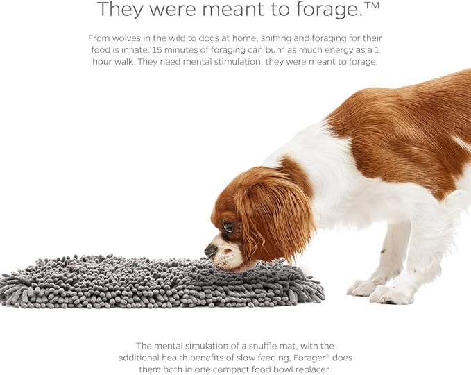 Pet Parents Forager Slow Feeder Dog Bowl & Snuffle Mat - SoftSnout, Non-Slip Backing (Forest 12")